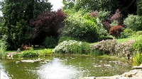 large pond